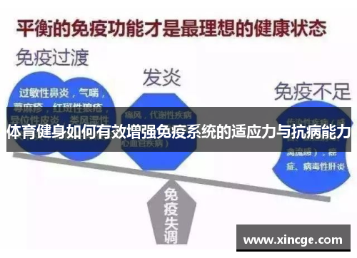 体育健身如何有效增强免疫系统的适应力与抗病能力