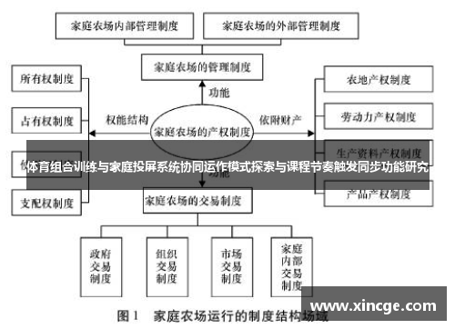 体育组合训练与家庭投屏系统协同运作模式探索与课程节奏触发同步功能研究