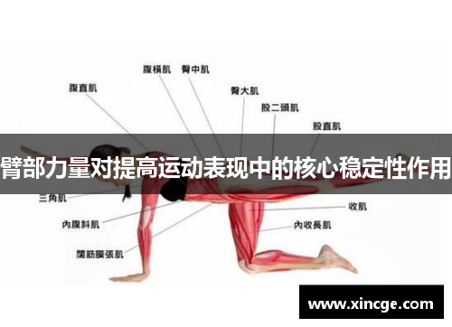 臂部力量对提高运动表现中的核心稳定性作用